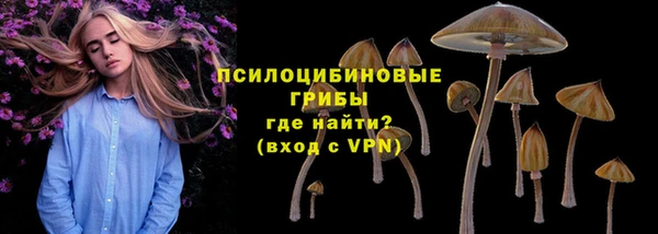 твердый Щёлкино