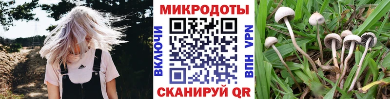 Галлюциногенные грибы ЛСД  наркотики  Ангарск 