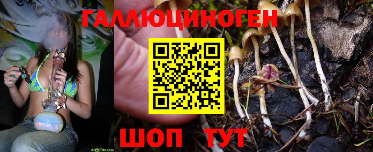 Псилоцибиновые грибы Cubensis  Вход с VPN  закладки  Ангарск 