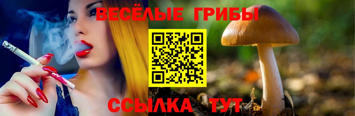 Псилоцибиновые грибы GOLDEN TEACHER Ангарск