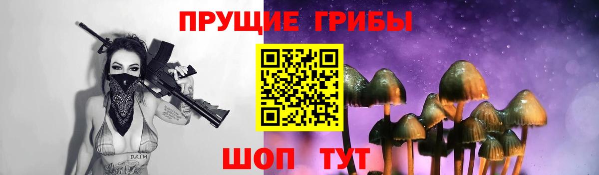 Псилоцибиновые грибы Cubensis  Вход с VPN  Ангарск 